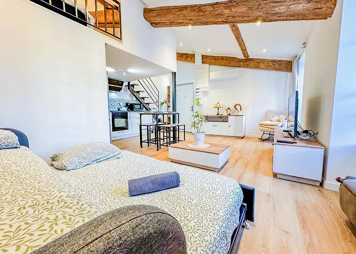 Duplex D Exception Au Coeur De アパート