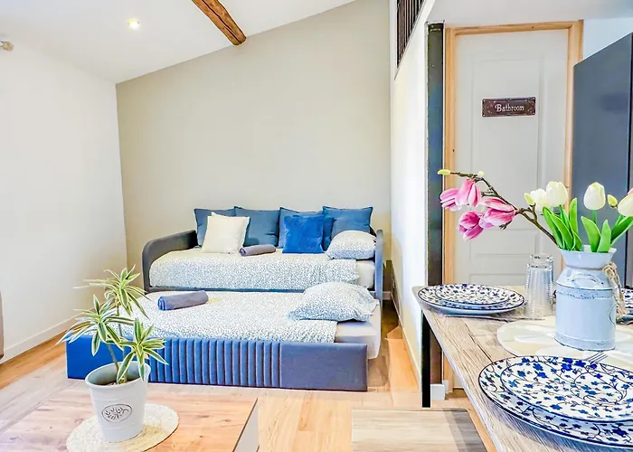 Duplex D Exception Au Coeur De クレルモン・フェラン